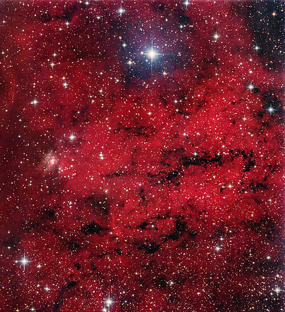 Sh2_203_HaRGB_via_Pix_PS_Crop_SelectiveColour_Clarity