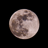 Full_Moon_01Feb2026-DSC0274_D810a_Stowaway-