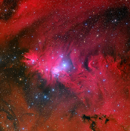 Cone & Foxfur Nebulae