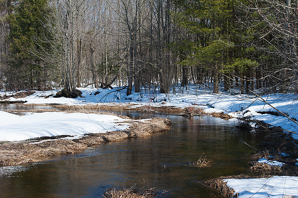 Creek_in_Spring_1880