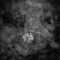 LBN423_H_Alpha_Grad_BlurX_Starless_MAS_LHE_NoiseX_SqCrop