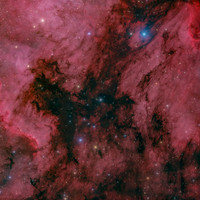 Pelican_Gulf_of_Mexico_HOO+RGB_via_PS