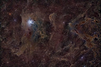 Iris_LBN487_468_475_483_Grad_SPCC_BlurX_StarX_MAS_HT_LHE_StarsBackIn