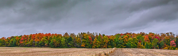 Fall_Colours_2016-2643