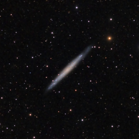 ngc4244_RGB_AP155_G4_TightCrop_March2022
