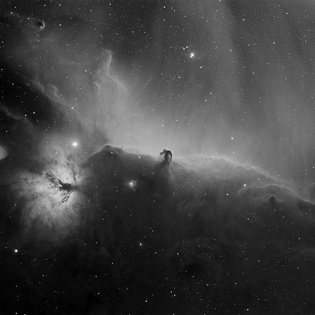 Horsehead and Flame Nebulae