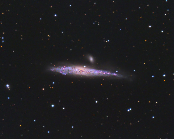 NGC4631 aka The Whale