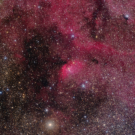 The Tulip Nebula in H-Alpha + RGB