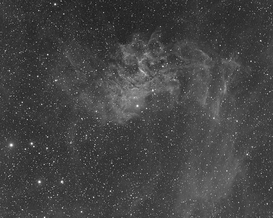 The Flaming Star Nebula in Hydrogen Alpha