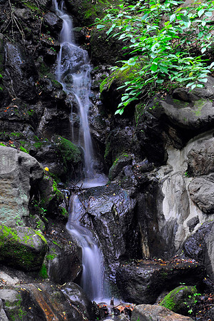 Waterfall_near_Zojoji_Temple_sm