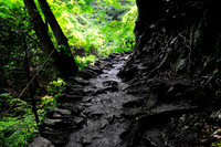 Takao_Trail_sm