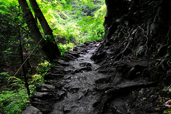 Takao_Trail_sm