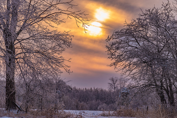 Sunset_in_the_Gap_IceStorm_12Jan2020-7747