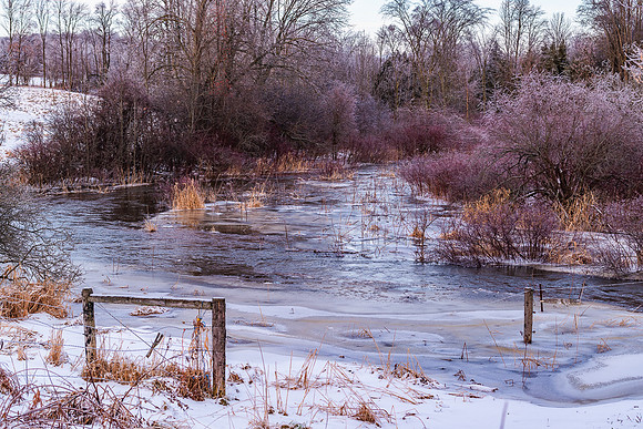 Creek_After_EpicRain_IceStorm_12Jan2020-7740