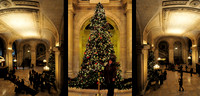 Tracy_at_NYC_Library_web