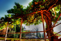 Rivendell_in_Graz