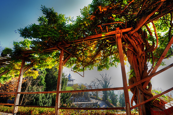 Rivendell_in_Graz