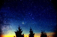 Scorpius