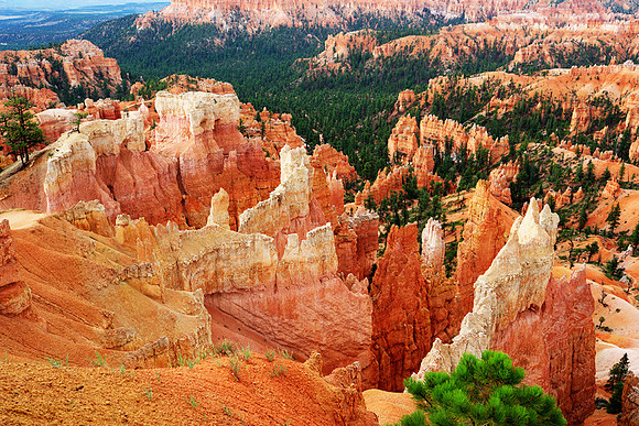 Bryce_Canyon_7792_3_4_tonemapped