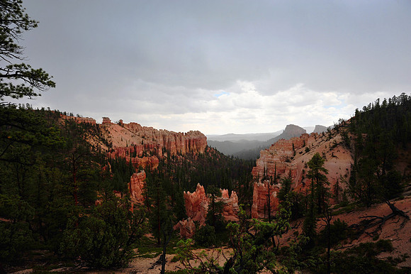 Bryce_Canyon_7767