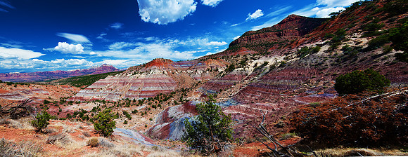 Zion_Panorama4