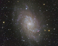M33 - The Triangulum Galaxy