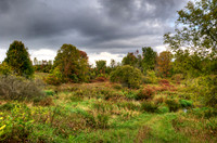 Creek_in_HDR_8335_6_7_tonemapped