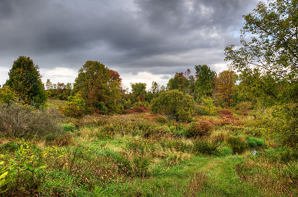 Creek_in_HDR_8335_6_7_tonemapped