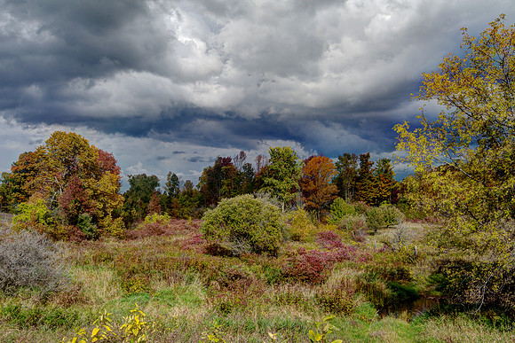 700_8458_59_60_fused