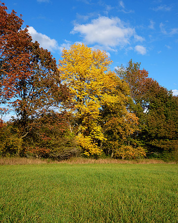 700_8505_6_tonemapped