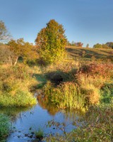 700_8529_30_31_tonemapped