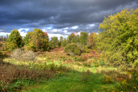 Creek_in_HDR_8356_7_8_tonemapped