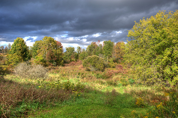 Creek_in_HDR_8356_7_8_tonemapped