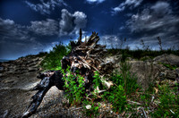 700_6998_6999_7000_tonemapped