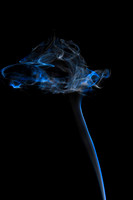 Smoke_Flower_2477
