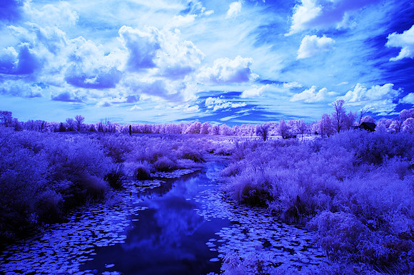 Grey_Ox_Ave_in_IR_0168