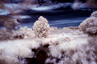 Creek in IR Colour 61