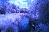 Creek_at_Road_S-Side_0125