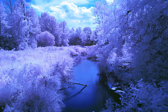 Creek_at_Road_S-Side_0125