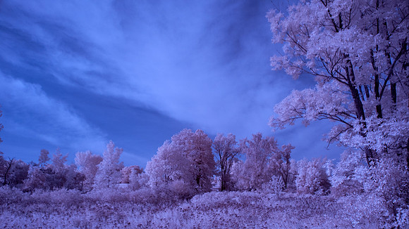 Farm-in-IR-0213
