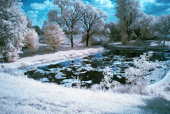 Neighbours_Pond_0119