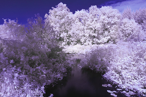 Our_Creek_at_Road_0124