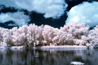 Maitland_River_0132