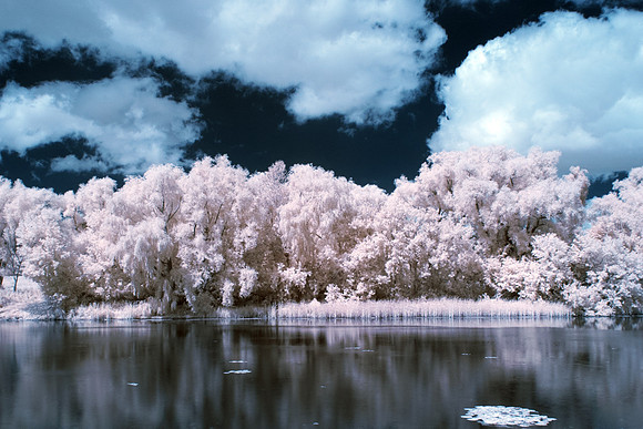 Maitland_River_0132