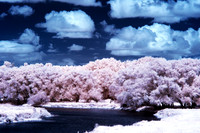 Maitland_River_0136
