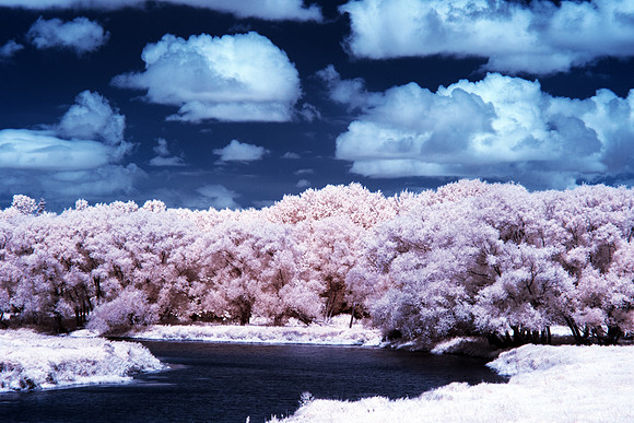 Maitland_River_0136