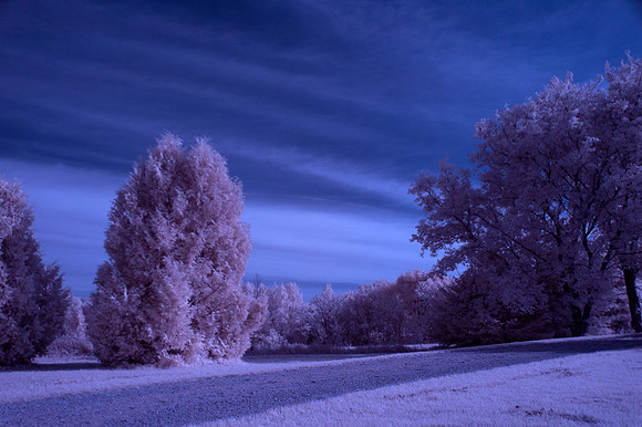 Farm-in-IR-0202