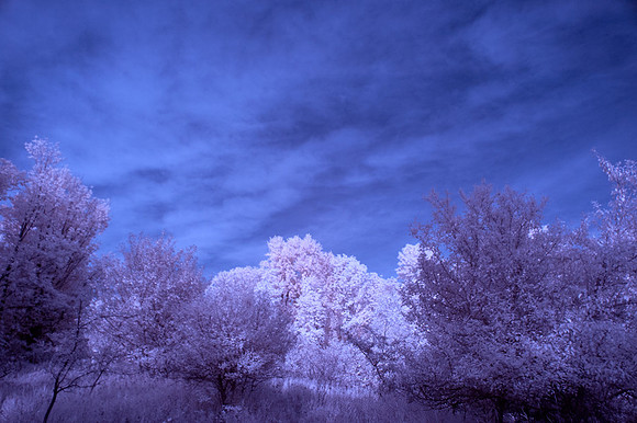 Farm-in-IR-0214