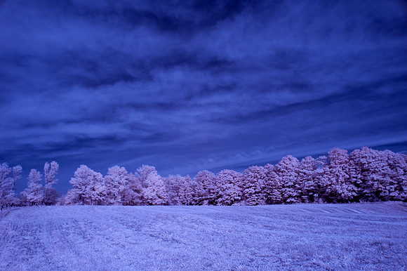 Farm-in-IR-0223