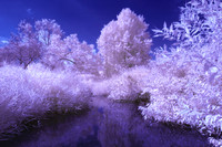 Our_Creek_0128